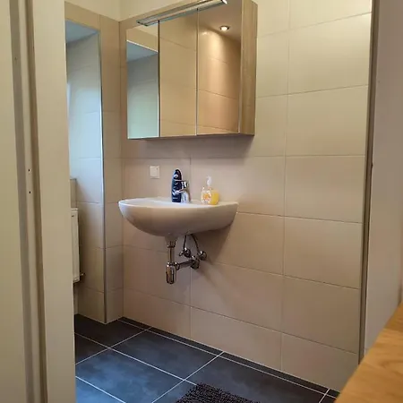 Bookstyrian1 Apartment *